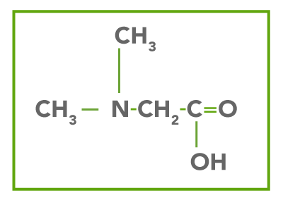 The DMG Molecule